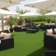 Artificial Grass For Hotels & Restaurants