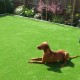 artificial grass is great for pets