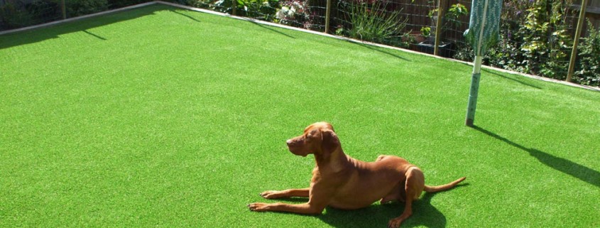 artificial grass is great for pets