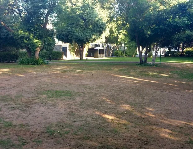 Jumeirah Creekside Hotel Fake Grass, Dubai