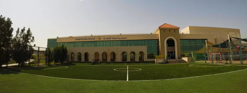 Football pitch replacement