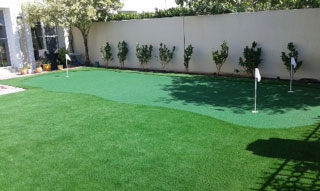 Lawn with Artificial Grass