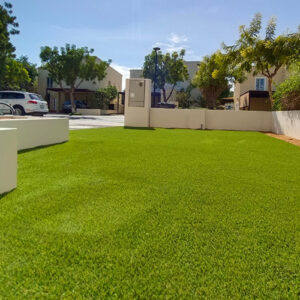 Driveway with lush green artificial grass